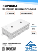 Коробка монтажная распределительная Гефест КМ(Р)-1224, 123х240х66, 12 вводов, IP66, с DIN рейкой, металлическая