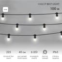 Комплект Евро Belt Light NeonNight 2 жилы шаг 40 см Белые LED лампы 45мм 6 LED 331345