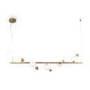 Подвеснойсветильник Freya Evidence FR5372PL05BS