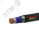 Кабель силовой ВБШвнг(А)-FRLS 2х120мс(N)-1 ВНИИКП ТРТС