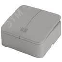 Выключатель 2-клавишный с индикатором 250В 10А серия София серебро STEKKER