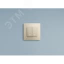 ETIKA Выключатель двухклавишный с подсветкой слоновая кость безвинтовые зажимы 10АХ