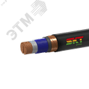Кабель силовой ВВГЭнг(А)-FRLS 2х150мс(N)-1 ВНИИКП ТРТС