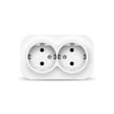 Розетка 2-м ОП 16А IP20 с заземл. бел. IONICH 1419
