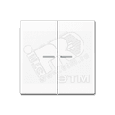 Клавиша 2-я для выключателей и кнопок  с окошком для подсветки. Серия A500  Материал- дуропласт  Цвет- белый