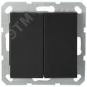 Выключатель двухклавишный 10A 250V~ с накладкой, цвет черный матовый (soft touch)
