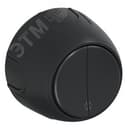 Переключатель двойной  Rotondo, цвет черный