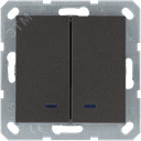 Выключатель двухклавишный со светодиодами 10A 250V~ с накладкой, цвет Мокко