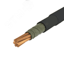 Кабель силовой ППГнг(А)-FRHF 1х120,0 мк (N) - 1 ТРТС