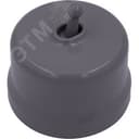 Выключатель Лизетта 1-кл., пластик, цвет Титан (тумблерный)