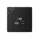 ARTGALLERY USB розетка A + тип-C 45Вт высокоскор.заряд. QC, PD, механизм, карбон