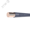 Провод ПуВнг(А)-LSLTx 1х10 Ср ТРТС