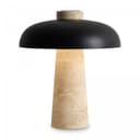 Настольныйсветильник Freya Sunspot FR5482TLL7B