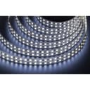Лента светодиодная Navigator 14 463 NLS-2835CW240-30-IP20-12V (5 шт/уп)