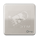 Клавиша с окошком и символом  ключ  для выключателей с подсветкой  платина JUNG