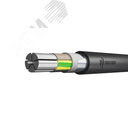 Кабель силовой АВБШв 5х50мс(N.PE)-0.66 ТРТС