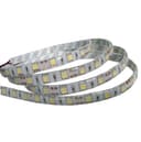 Светодиодная лента SMD 5050 12V 144 Втм 60 LED IP68 Нейтральный белый SVL5050146045006812