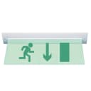 Табло Элтех-сервис М-220-РИП-УЛЬТРА Человек вправо стрелка вниз в дверь (потолочн. креп.) 