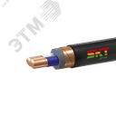 Кабель силовой ВВГЭнг(А)-LS 2х2,5ок(N)-1 ВНИИКП ТРТС