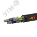 Кабель силовой АВВГ 5х35мс(N.PE)-0.66 ВНИИКП ТРТС СКТ Групп (Псков)