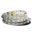 Светодиодная лента SMD 5050 24V 144 Втм 60 LED IP20 Холодный белый SVL5050146065002024