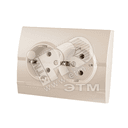 DERIY Розетка х2 с/з ПБТ жемчужно-белый Lezard