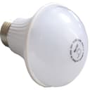 Лампа аварийного освещения SKAT LED-220 E27 Бастион