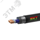 Кабель силовой ВБШвнг(А)-FRLS 2х16ок(N)-1 ВНИИКП ТРТС СКТ Групп