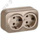 GLORY Розетка 2-местная для открытой установки с заземлением без защитных шторок 16А РС22-3-ХШм шампань матовый IEK