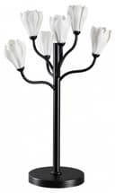 Настольная лампа декоративная Odeon Light Gardi 50906T