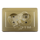 Розетка двойная скрытая золото