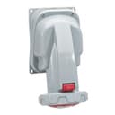 Розетка 3К+H+З Legrand 555559