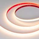 Лента герметичная RTW-SEW-A308-10mm 24V Warm2700 (14 W/m, IP65, 2835, 5m) (Arlight, 5 лет)