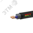 Кабель силовой ВВГ 2х16ок(N)-1 ВНИИКП ТРТС