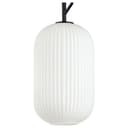 Подвесной светильник Odeon Light Roofi 47511