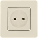 Розетка 1-м СП Inspiria 16А IP20 250В 2P механизм сл. кость Leg 673711