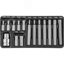 Набор вставок-бит 10 мм DR TORX® с переходниками, 15 предметов