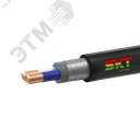 Кабель силовой ВБШвнг(А)-LS 2х16ок(N)-1 ВНИИКП ТРТС