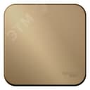 Выключатель одноклавишный наружный BLАNCА (cх.1) с самовозвратом, с изолирующей пластиной, 10А, титан