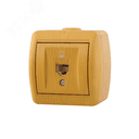 Ната Розетка компьютерная ольха