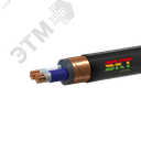 Кабель силовой ВВГЭнг(А)-FRLS 2х16мк(N)-0.66 ТРТС