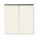 Клавиша 2-я для двухклавишных выключателей без подсветки. Для механизмов- EP405U, EP409U. Серия- Eco Profi. Материал- термопласт. Цвет- слоновая кость. JUNG