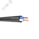 Кабель силовой ППГнг(A)-HF 2х10ок(N)-1 ТРТС