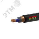 Кабель силовой ВВГЭнг(А) 2х50мк(N)-1 ВНИИКП ТРТС СКТ Групп (Псков)