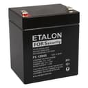 АКБ 12 - 4,5 ETALON FS 12045