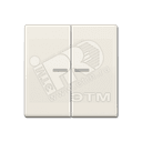 Клавиша 2-я для выключателей и кнопок  с окошком для подсветки. Серия AS500  Материал- термопласт  Цвет- слоновая кость