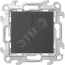 Переключатель двухклавишный, графит