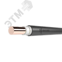 Кабель силовой ВВГнг(А)-LS 1х50мк-0,66 ТРТС