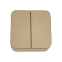 Выключатель 2-кл. ОП Blanca 10А IP20 (сх. 5) 250В с изолир. пластиной титан SE BLNVA105014