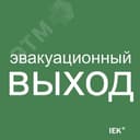 Этикетка самоклеящаяся 150х150мм "Эвакуационный выход" IEK